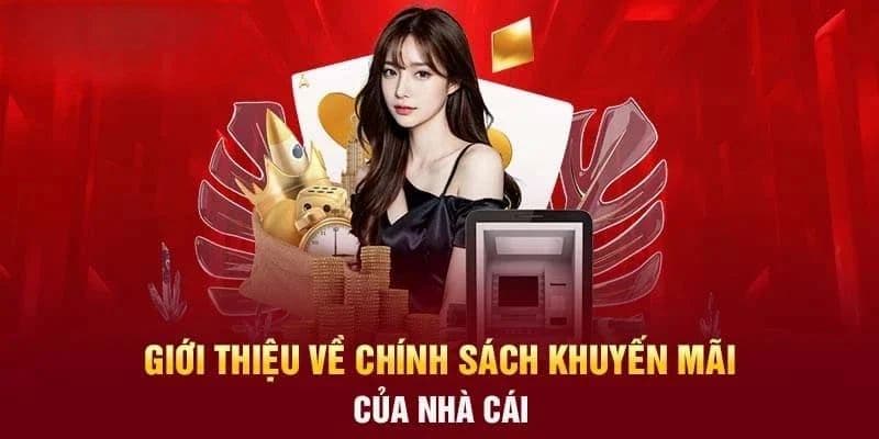 Vì sao nên tham gia ưu đãi VIP 33win ngay hôm nay
